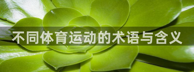 必一运动有哪些热门游戏：不同体育运动的术语与含义