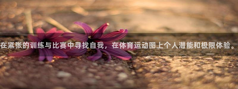 必一运动有哪些热门游戏：在紧张的训练与比赛中寻找自我，在体育运动图上个人潜能和极限体验。