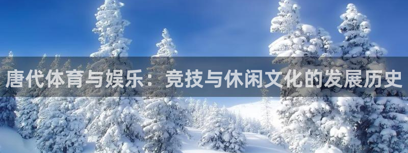 必一运动科技有限公司：唐代体育与娱乐：竞技与休闲文化的发展历史