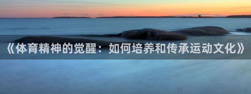 bsports必一运动：《体育精神的觉醒：如何培养和传承运动文化》