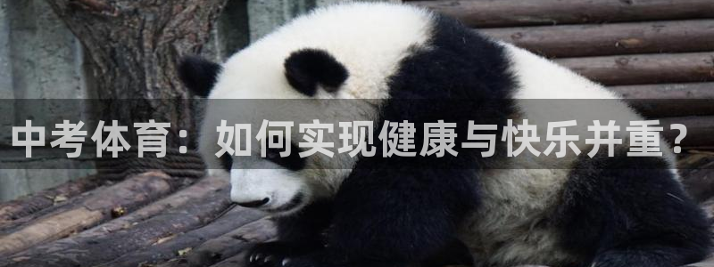 必一运动sport官网