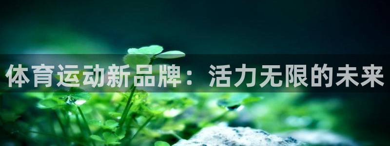 必一运动红标版本