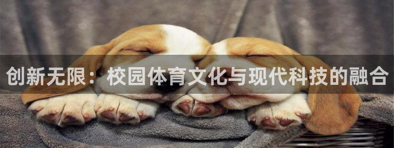 必一运动体育app下载：创新无限：校园体育文化与现代科技的融合