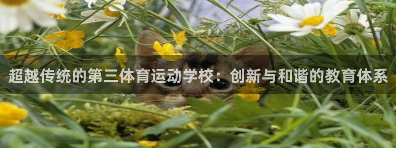 bsports必一运动：超越传统的第三体育运动学校：创新与和谐的教育体系