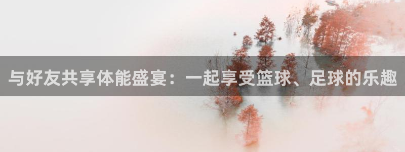 必一运动是什么软件