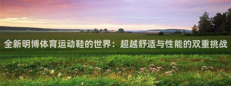 必一运动红标版本